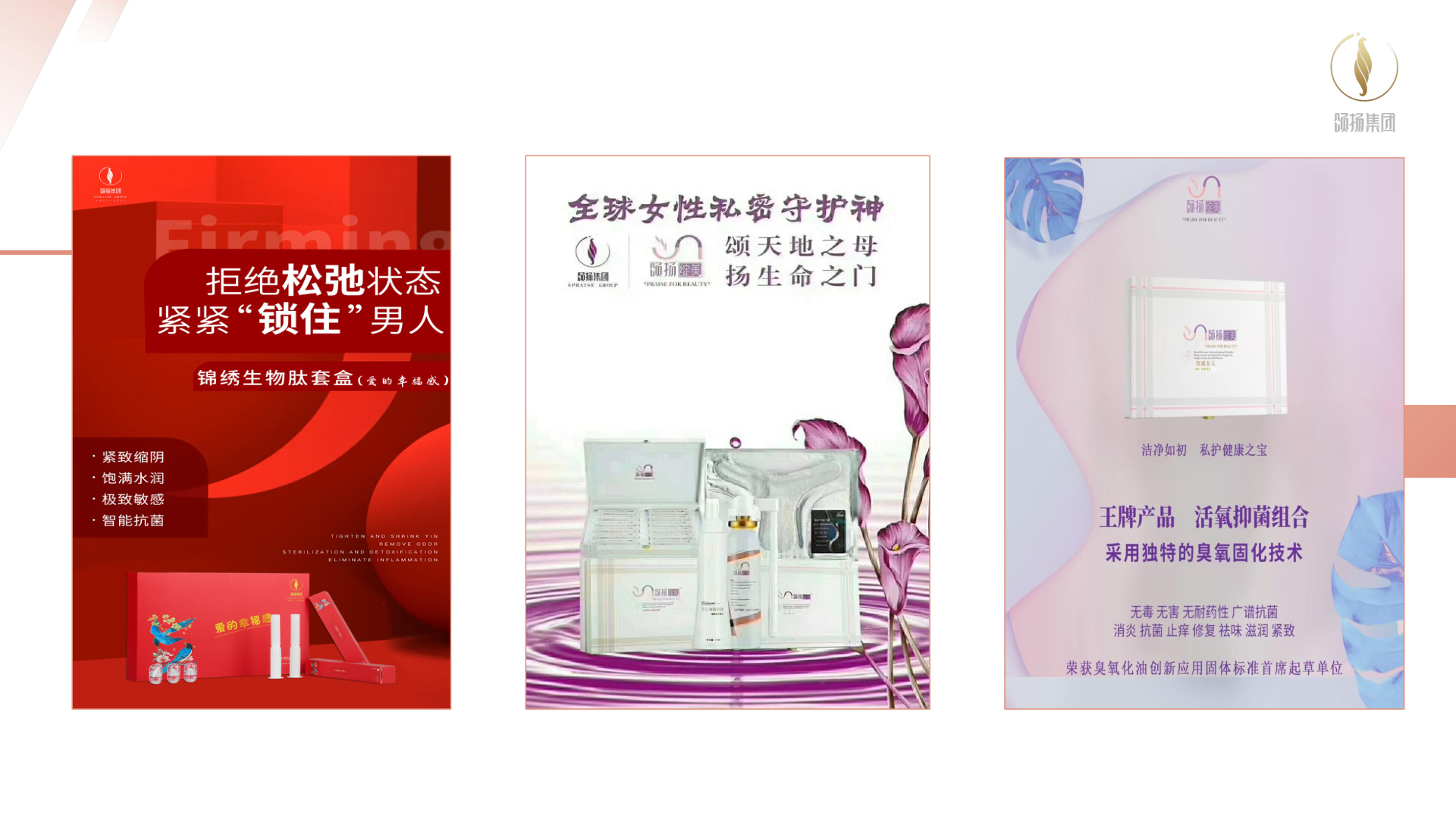 公司产品系列展示